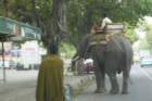 btactriptoindiamay0842_small.jpg