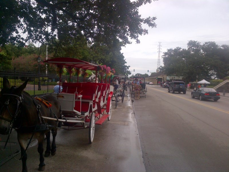 new_orleans_08132016197.jpg