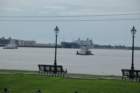 new_orleans_08132016240_small.jpg