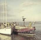 _filming_of_lifeboat_documentary_yarmoth_iow_uk2_small.jpg