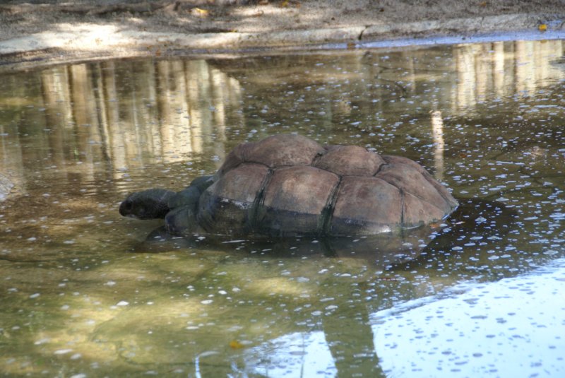 buschgardensday602.jpg