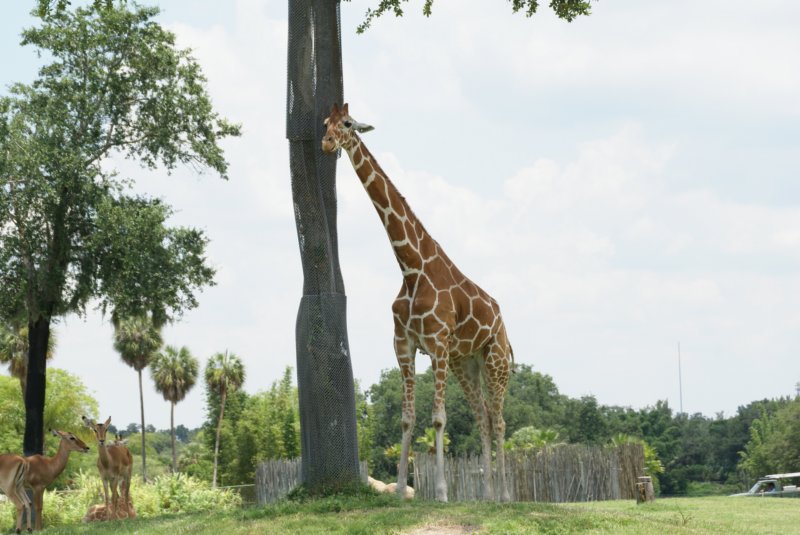 buschgardensday666.jpg