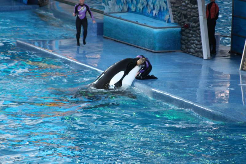 seaworldday13057.jpg