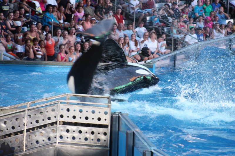 seaworldday13061.jpg