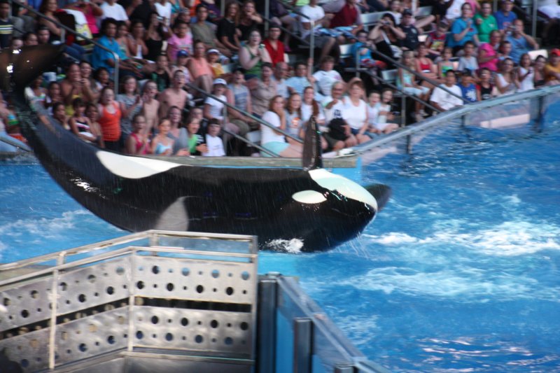 seaworldday13063.jpg