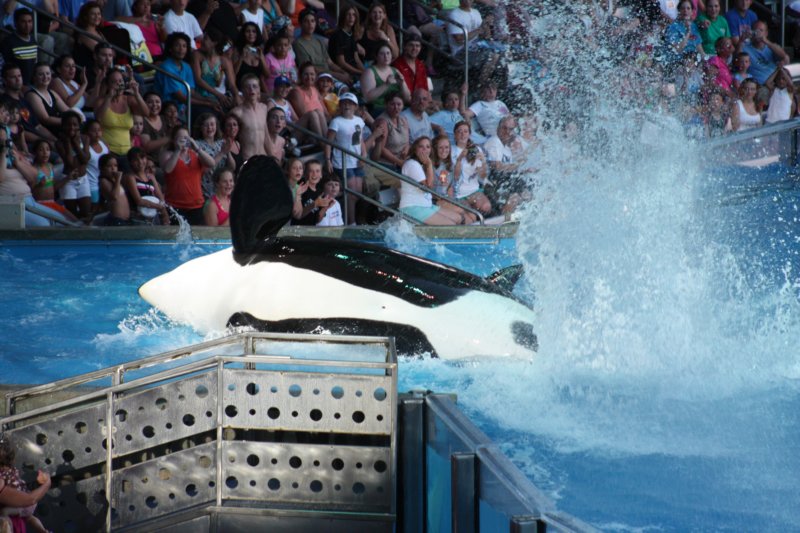 seaworldday13069.jpg