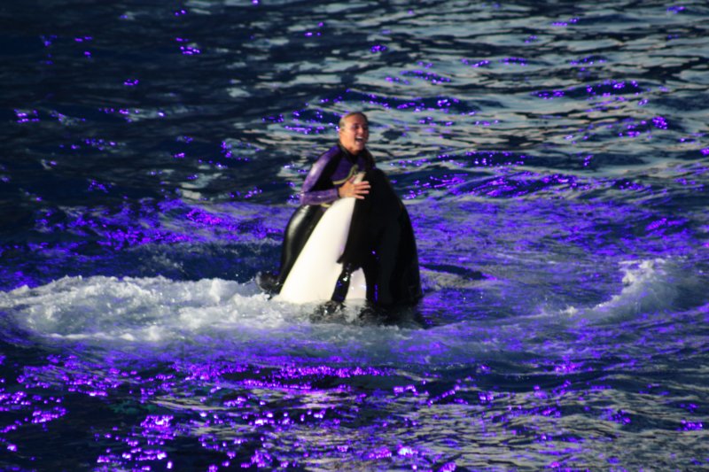 seaworldday13075.jpg