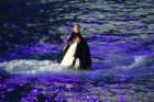 seaworldday13075_small.jpg