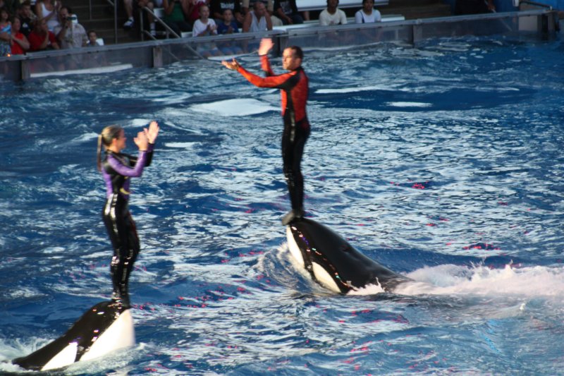 seaworldday13086.jpg