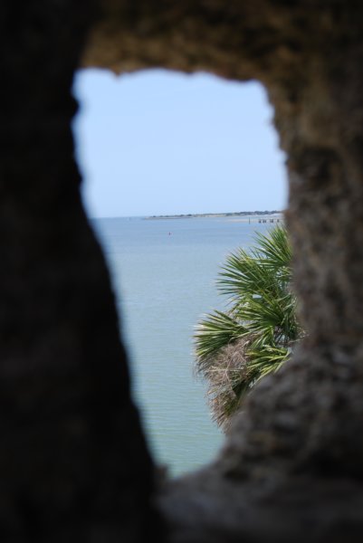 dsc00815.jpg