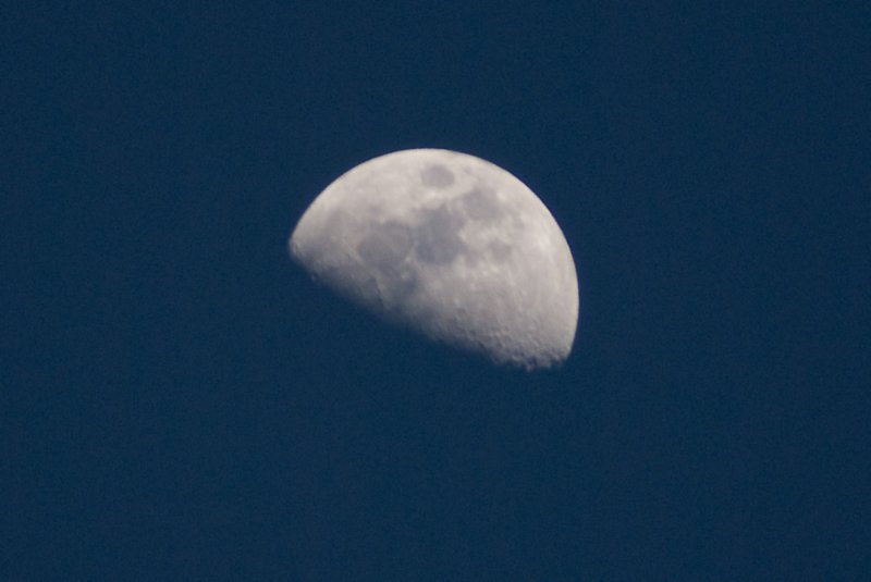 dsc02823.jpg