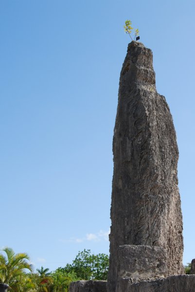 DSC_1656 dsc_1656.jpg