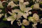 dsc00393_small.jpg