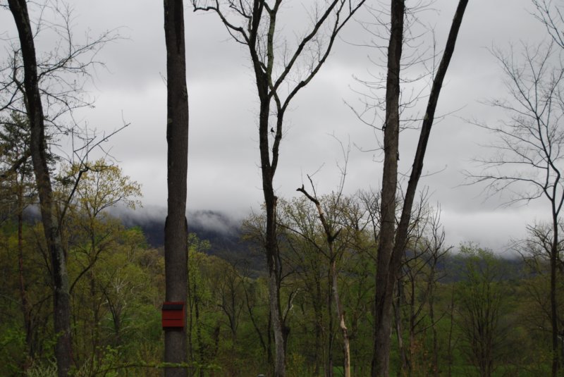 DSC_3534 dsc_3534.jpg