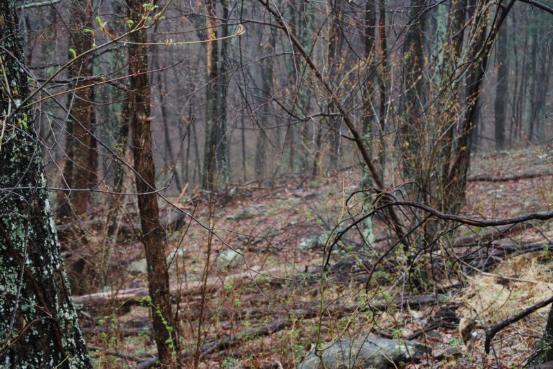 DSC_3573 dsc_3573.jpg