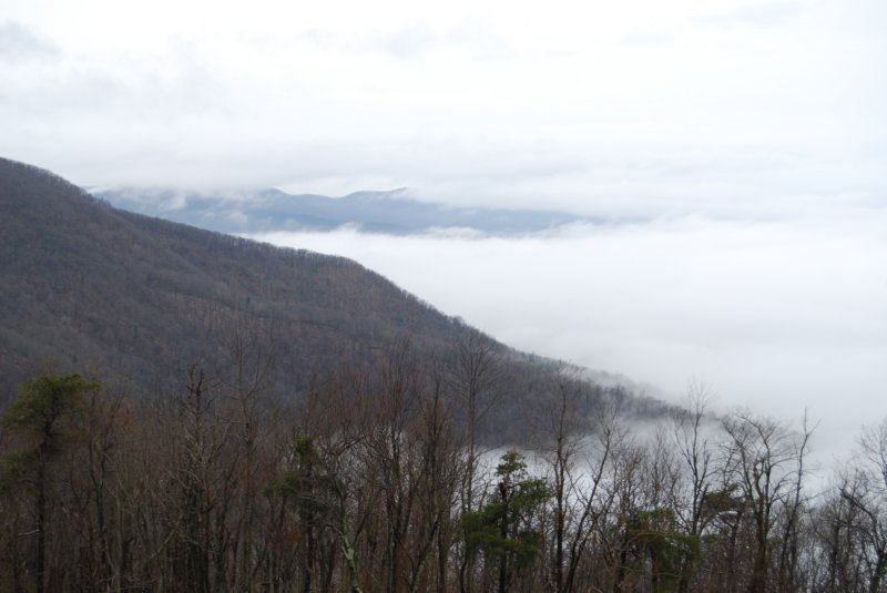 DSC_3645 dsc_3645.jpg
