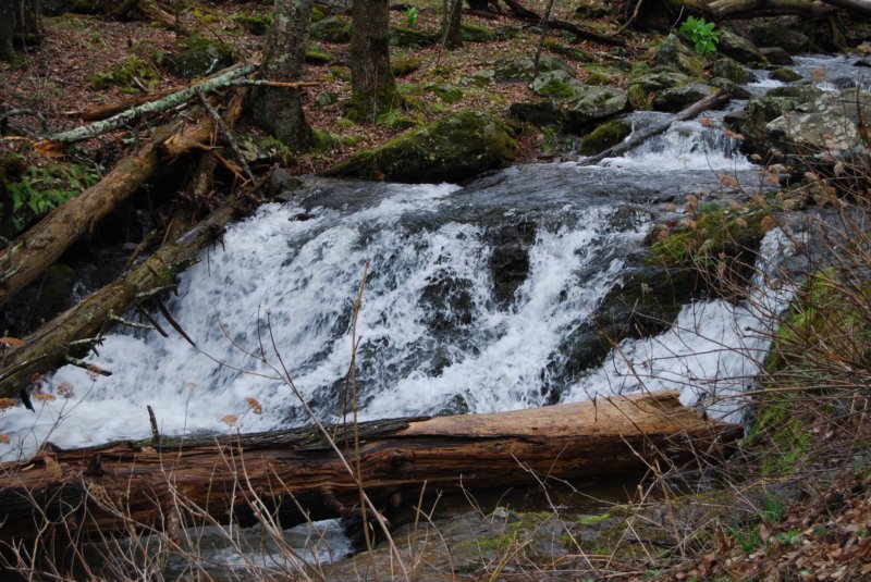 DSC_3655 dsc_3655.jpg