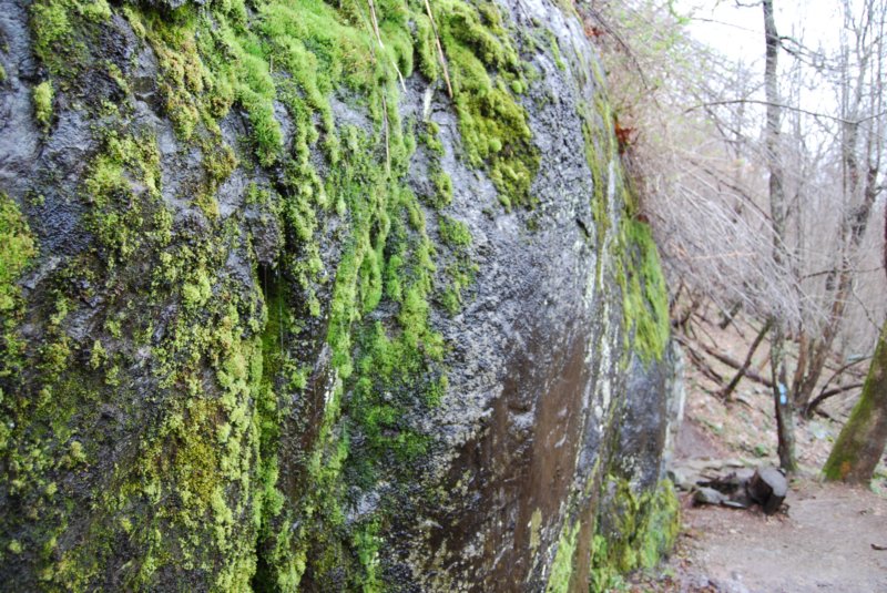 DSC_3656 dsc_3656.jpg