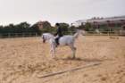 junlouisedressage00003_small.jpg