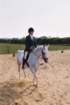 junlouisedressage00005_small.jpg