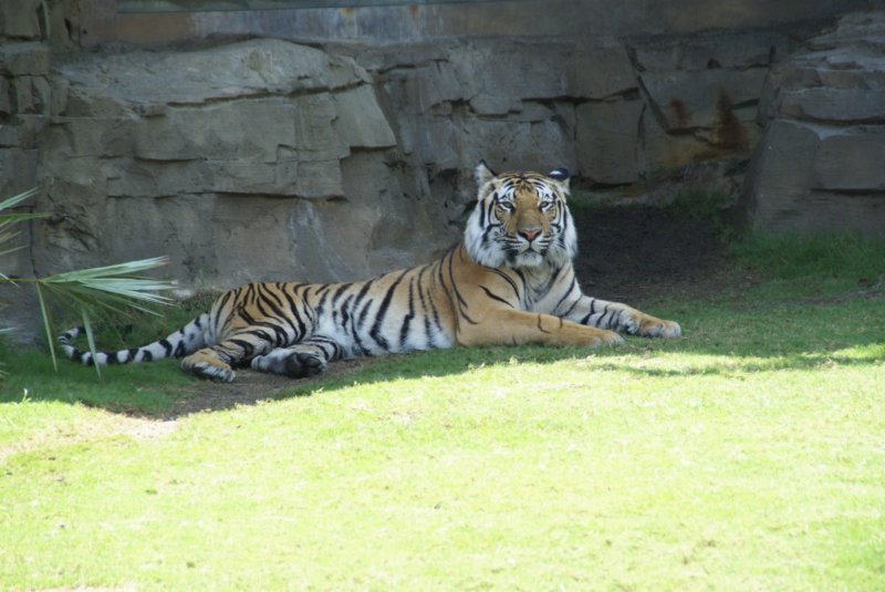 buschgardensday651.jpg