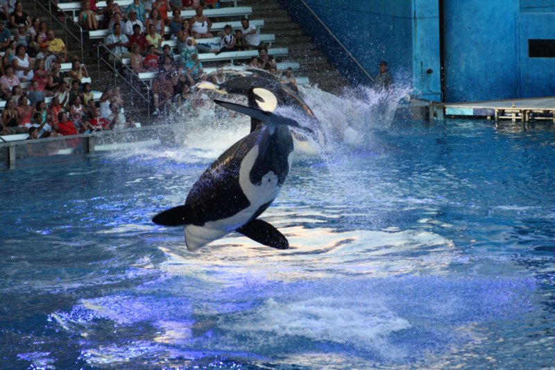 seaworldday13046.jpg