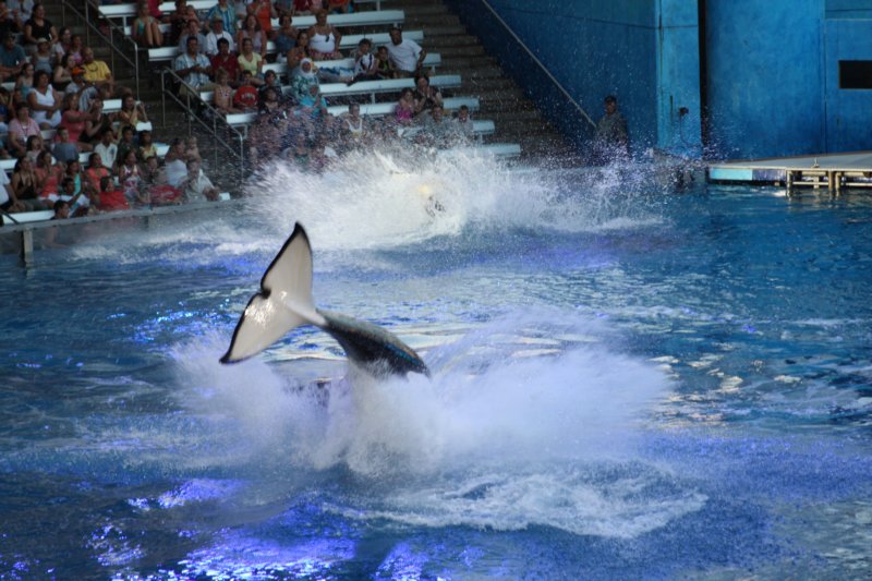 seaworldday13047.jpg