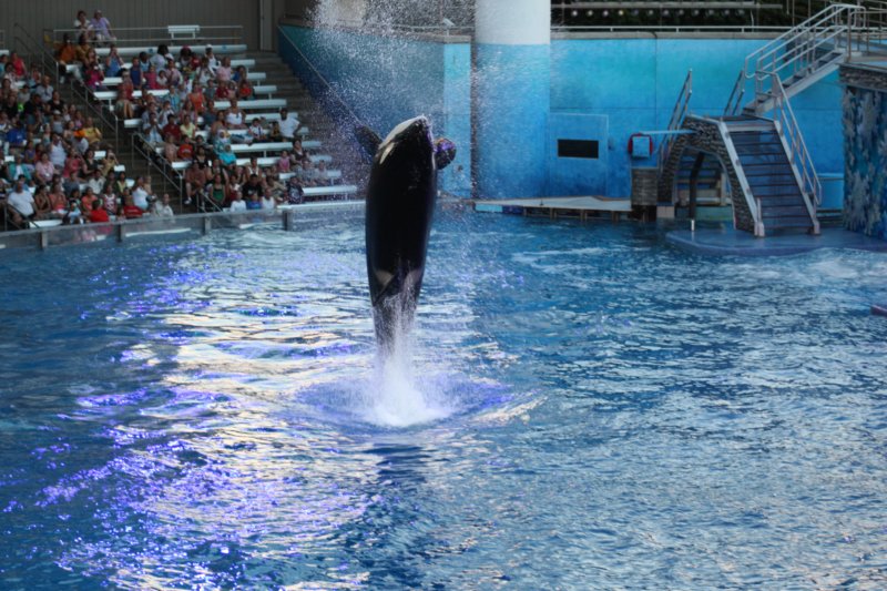 seaworldday13048.jpg