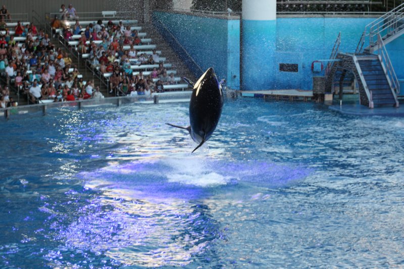 seaworldday13049.jpg