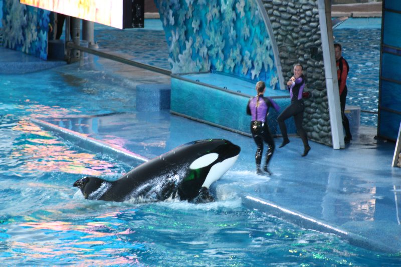 seaworldday13054.jpg