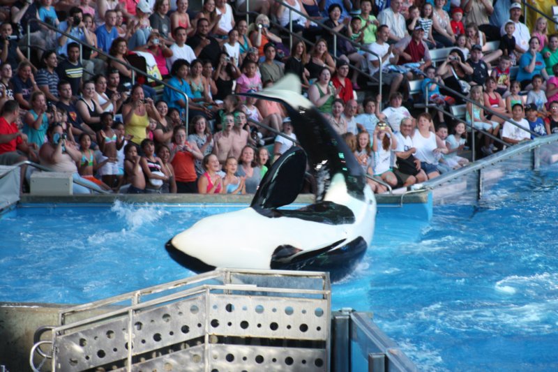 seaworldday13064.jpg