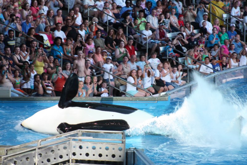 seaworldday13067.jpg