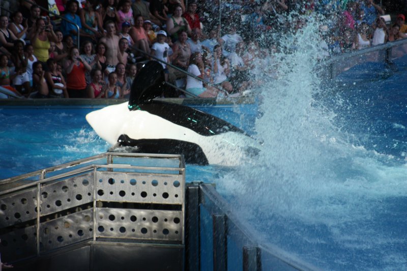 seaworldday13070.jpg