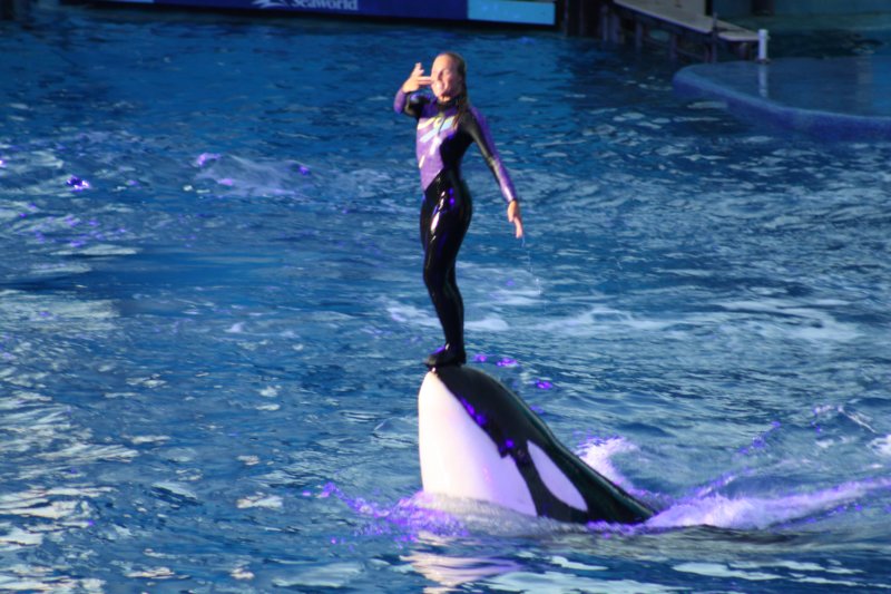 seaworldday13076.jpg