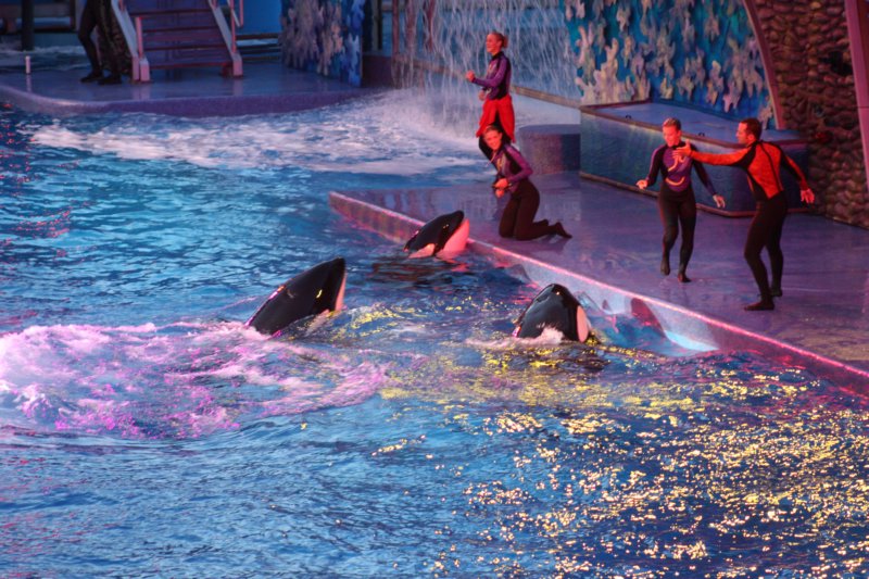 seaworldday13082.jpg