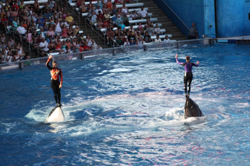 seaworldday13089.jpg