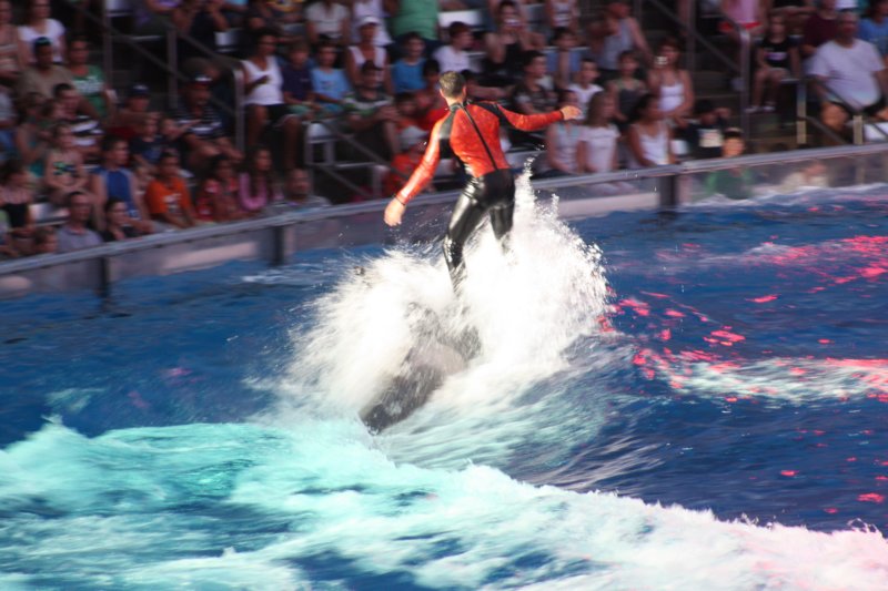 seaworldday13091.jpg