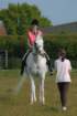 welshponycobshow10thmay2009014_small.jpg