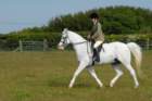 welshponycobshow10thmay2009017_small.jpg