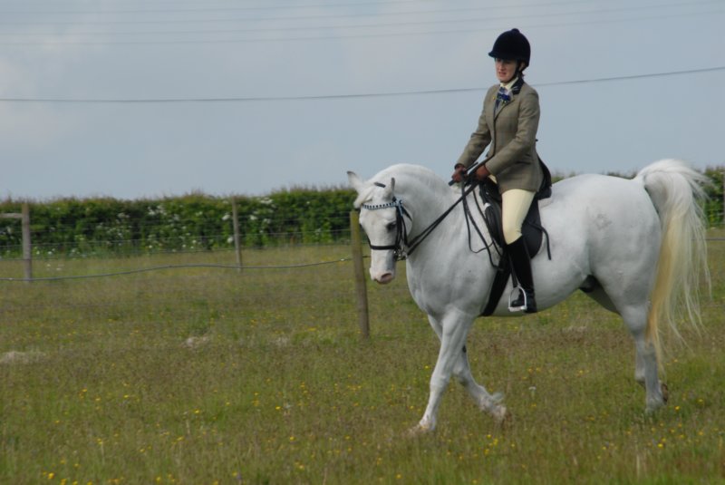 welshponycobshow10thmay2009018.jpg