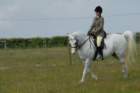 welshponycobshow10thmay2009018_small.jpg