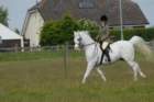 welshponycobshow10thmay2009021_small.jpg