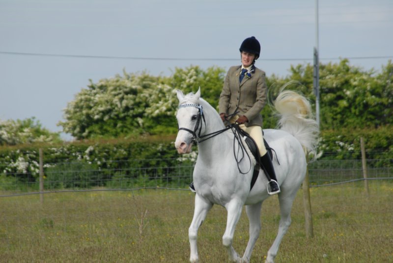 welshponycobshow10thmay2009022.jpg