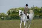 welshponycobshow10thmay2009022_small.jpg