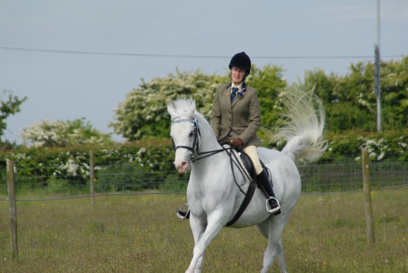 welshponycobshow10thmay2009023.jpg