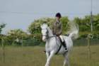 welshponycobshow10thmay2009023_small.jpg