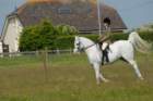 welshponycobshow10thmay2009024_small.jpg