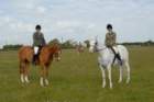 welshponycobshow10thmay2009025_small.jpg