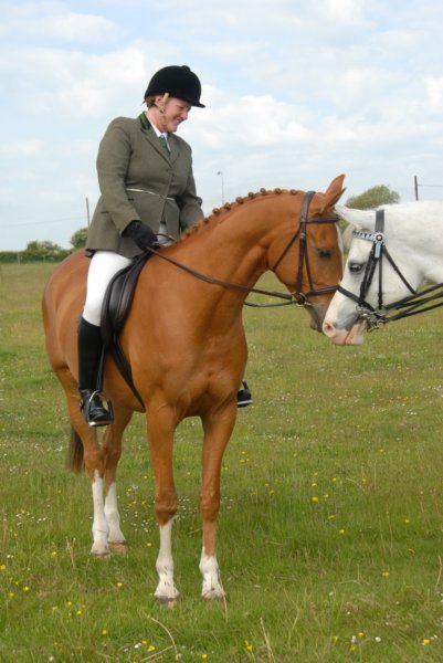 Welsh Pony & Cob Show 10th May 2009 028 welshponycobshow10thmay2009028.jpg