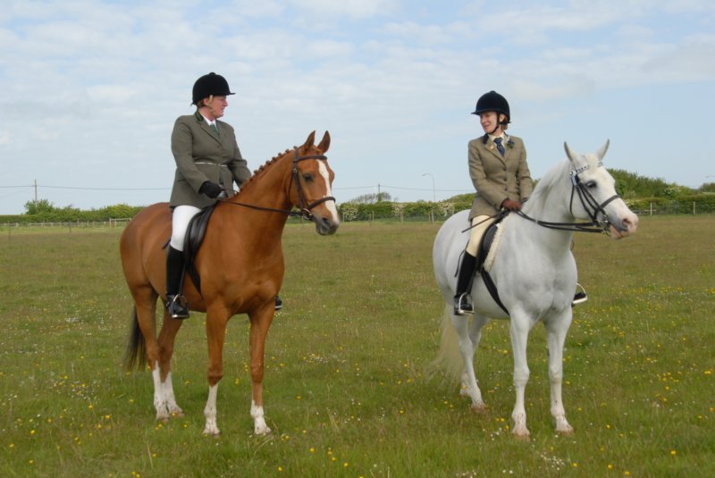 welshponycobshow10thmay2009029.jpg